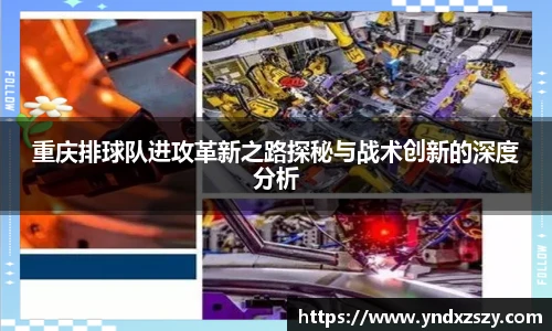 重庆排球队进攻革新之路探秘与战术创新的深度分析